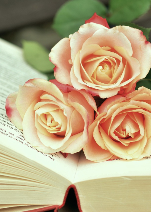 Libro de Poemas Visuales